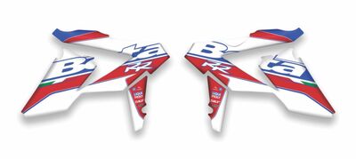 {{basedesignname}} OEM Replica Style Rad Graphics Kit