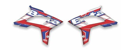 {{basedesignname}} OEM Replica Style Rad Graphics Kit