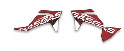 {{basedesignname}} OEM Replica Style Rad Graphics Kit