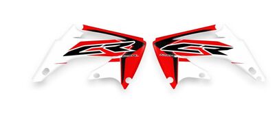{{basedesignname}} OEM Replica Style Rad Graphics Kit