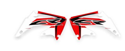 {{basedesignname}} OEM Replica Style Rad Graphics Kit