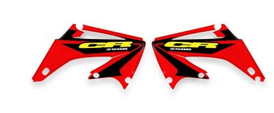 {{basedesignname}} OEM Replica Style Rad Graphics Kit