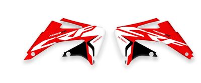 {{basedesignname}} OEM Replica Style Rad Graphics Kit