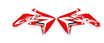 {{basedesignname}} OEM Replica Style Rad Graphics Kit