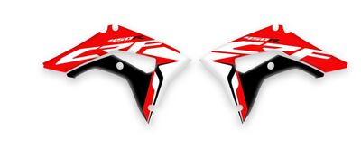 {{basedesignname}} OEM Replica Style Rad Graphics Kit