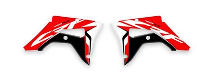 {{basedesignname}} OEM Replica Style Rad Graphics Kit