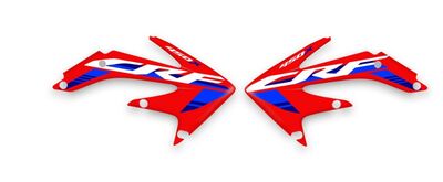 {{basedesignname}} OEM Replica Style Rad Graphics Kit