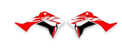 {{basedesignname}} OEM Replica Style Rad Graphics Kit
