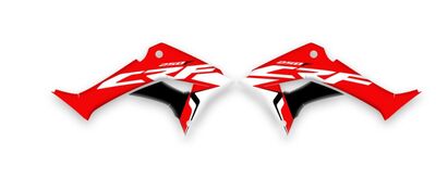 {{basedesignname}} OEM Replica Style Rad Graphics Kit