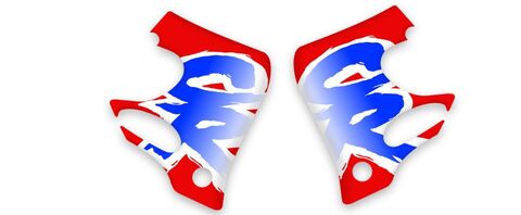 {{basedesignname}} OEM Replica Style Rad Graphics Kit