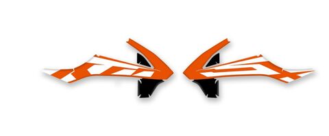 {{basedesignname}} OEM Replica Style Rad Graphics Kit