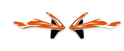 {{basedesignname}} OEM Replica Style Rad Graphics Kit