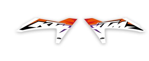 {{basedesignname}} OEM Replica Style Rad Graphics Kit