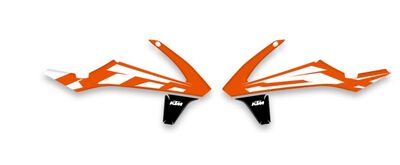 {{basedesignname}} OEM Replica Style Rad Graphics Kit
