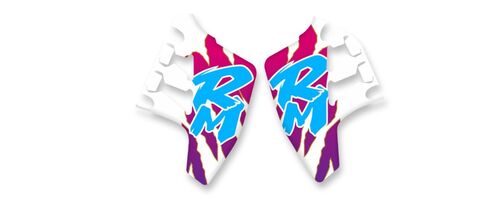 {{basedesignname}} OEM Replica Style Rad Graphics Kit